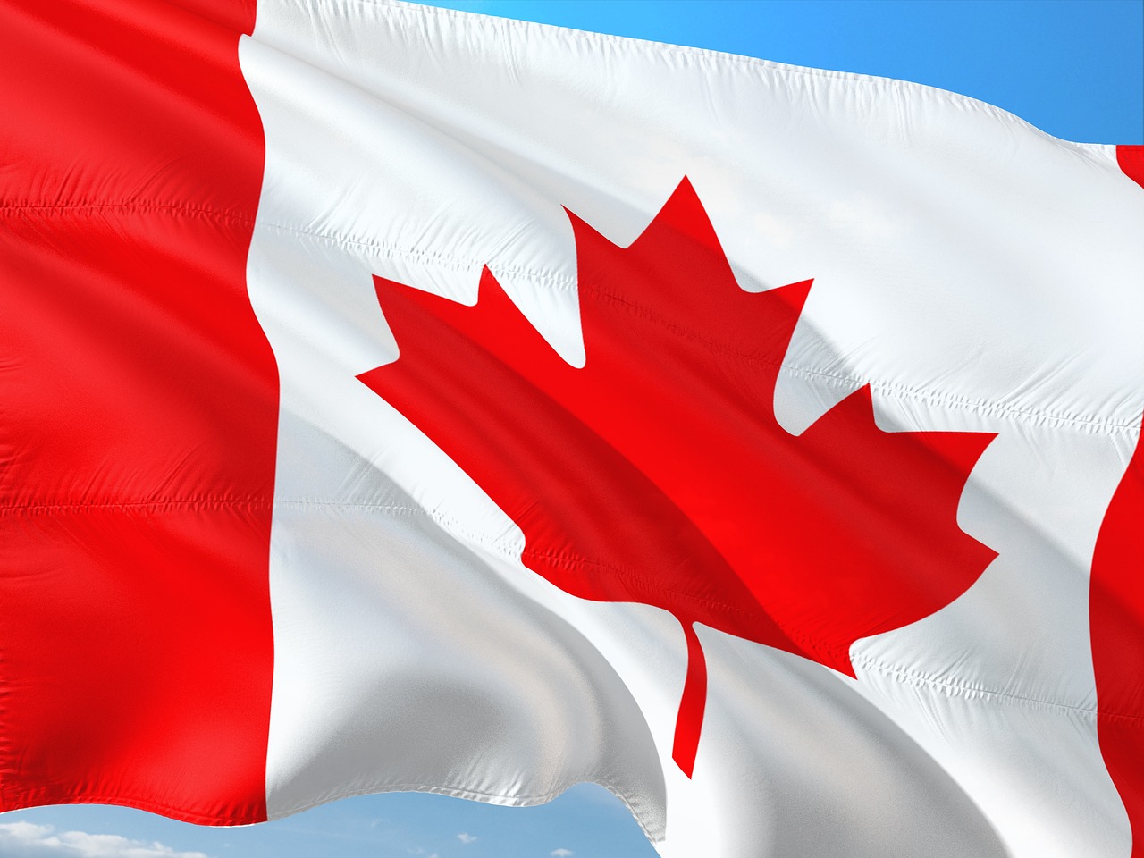 international, banner, flag, canada, canada, canada, canada, canada, canada